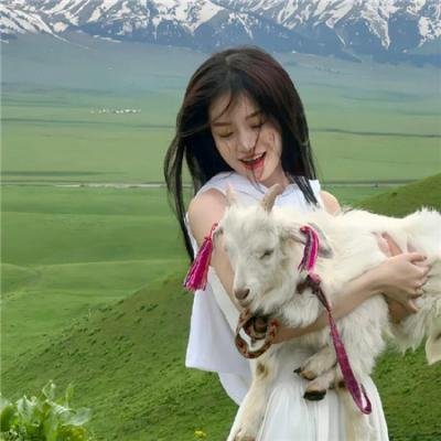 精灵古比